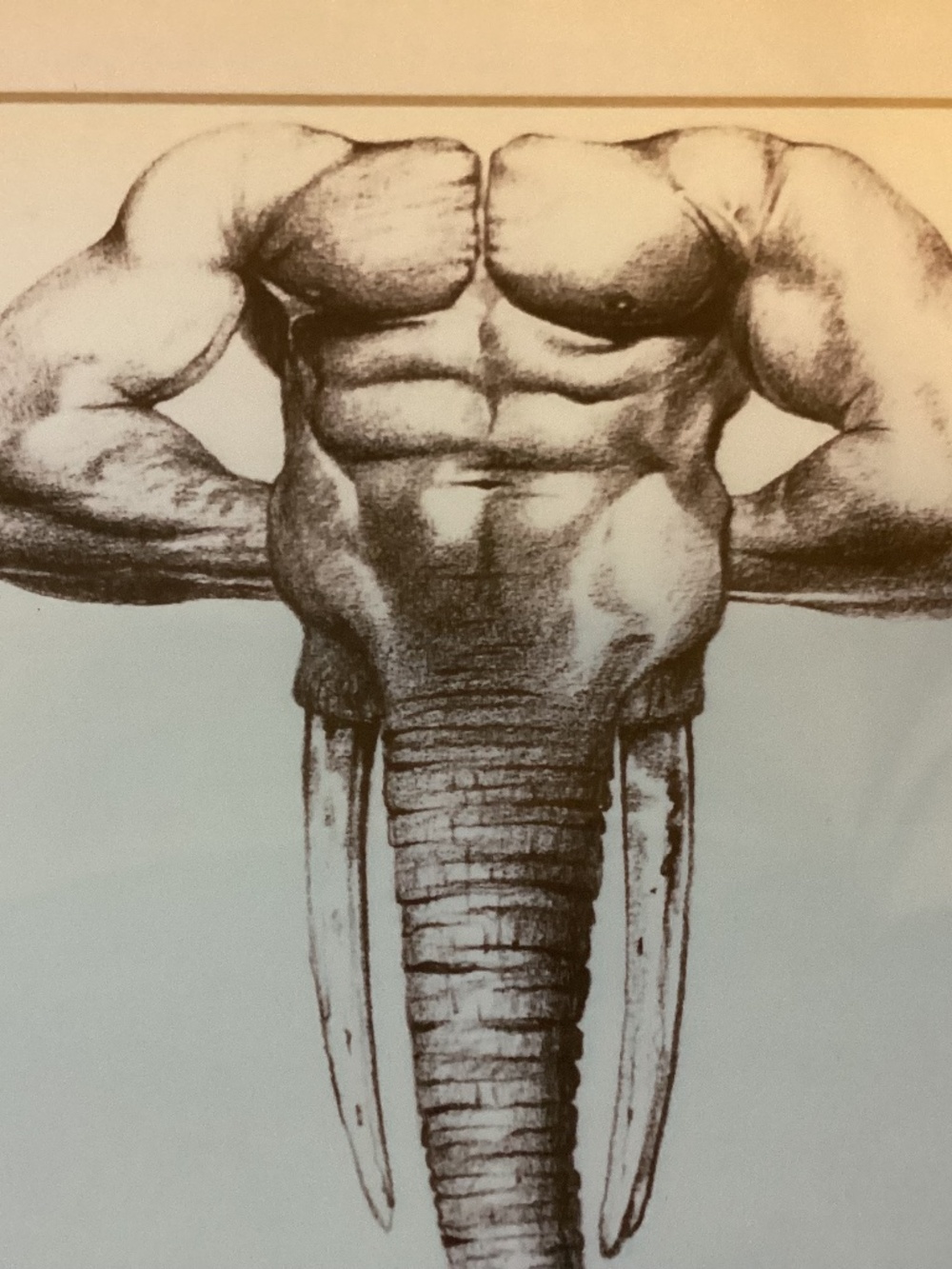 Dominant Male Physique elephant poster 13x11 Sexy Strong Man Half/ Elegant Half